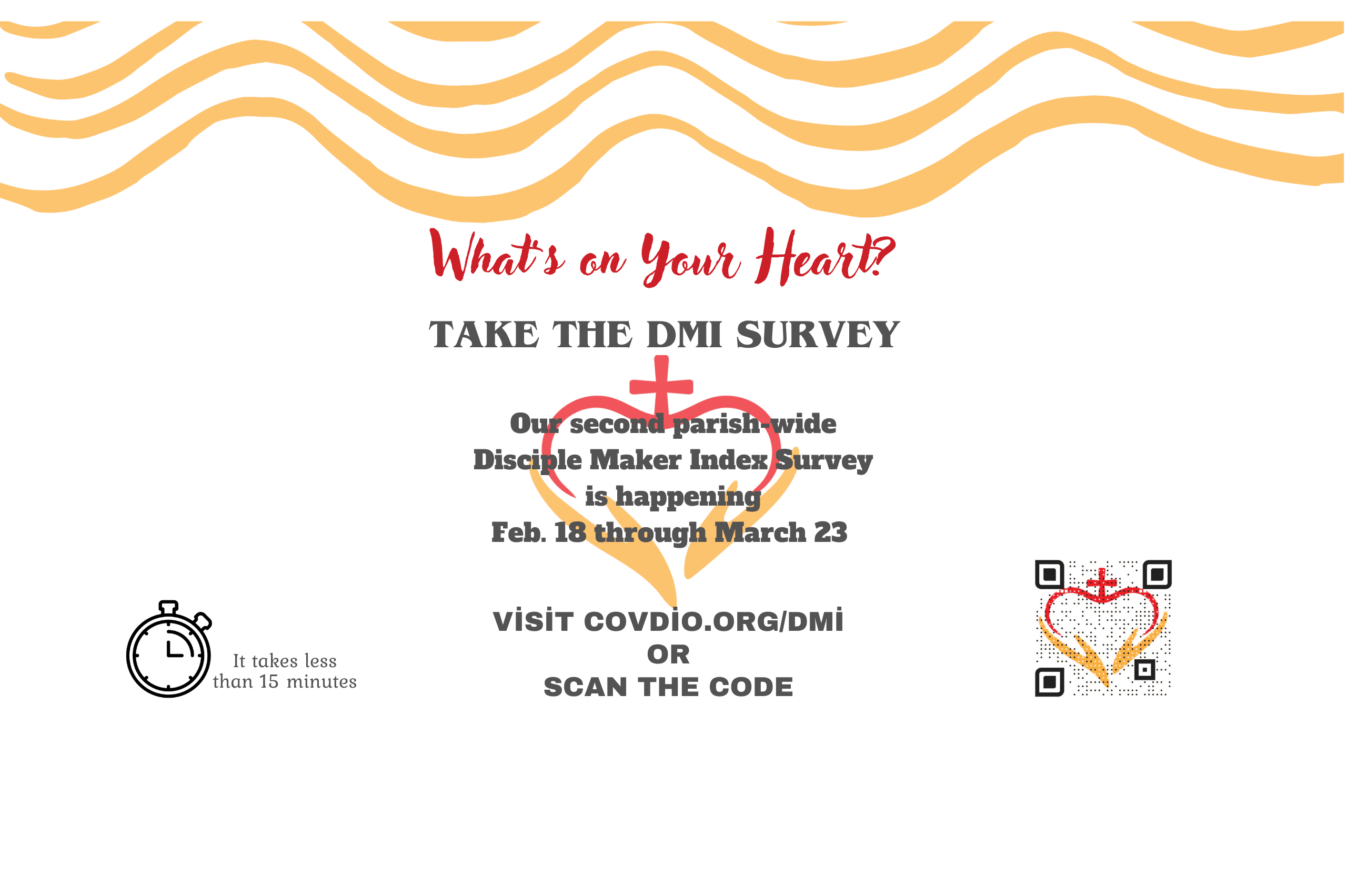 DMI Survey